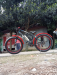 Electric fat bike