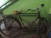 Phoenix cycle