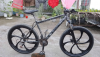 Custom Build cycle for sell