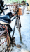 Phoenix Bicycle
