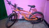 Phoenix MTB 26