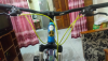 Phoenix Argus cycle sell hobe