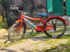 Duranta MJB-07 Micycle 1 Speed 24'