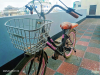 Avon Ladies Bicycle (24 inch) - Blackpink