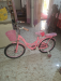 Phoenix Bicycle For Sale