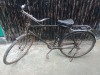 Phoenix cycle