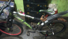Lion cycle