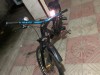 Bi-Cycle
