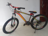 Phoenix  Cortex666 11 gear bicycle