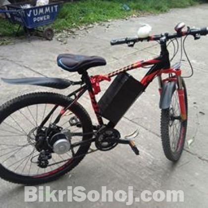 e-bicycle