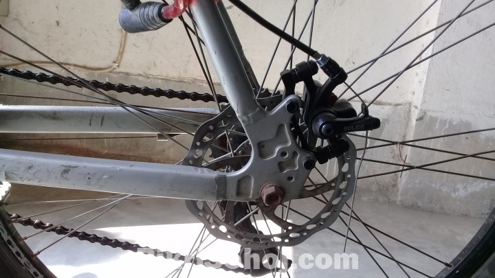 Raleigh orient Alloy T6