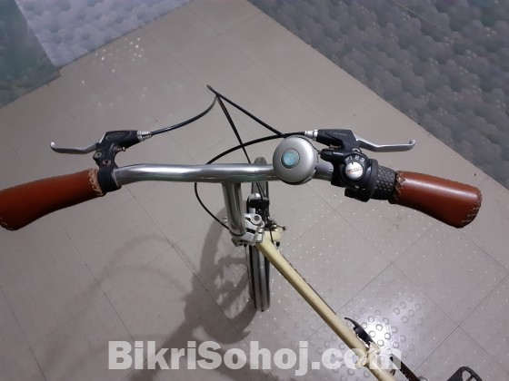 MBM Folding Bike