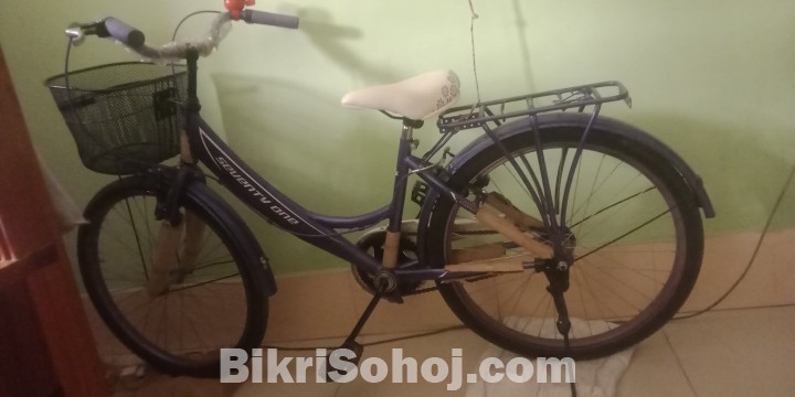 Meghna Ladies Bicycle