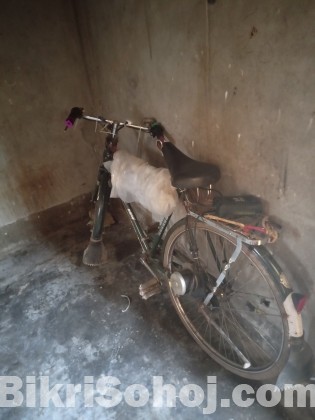 INDIA BSA