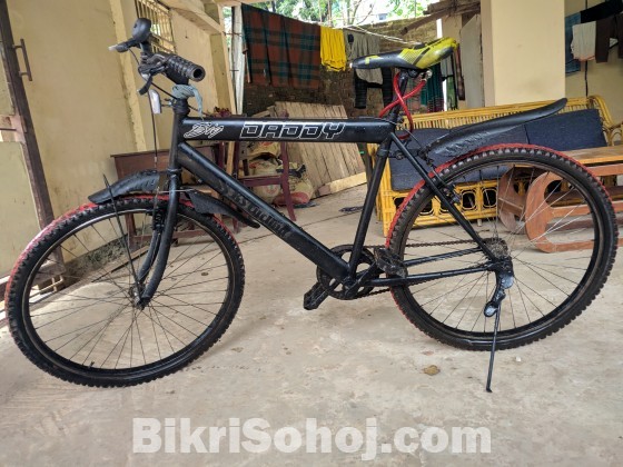 Phoenix modified bicycle