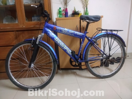 Blue Colour Bicycle