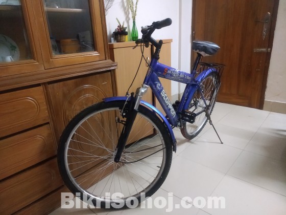 Blue Colour Bicycle