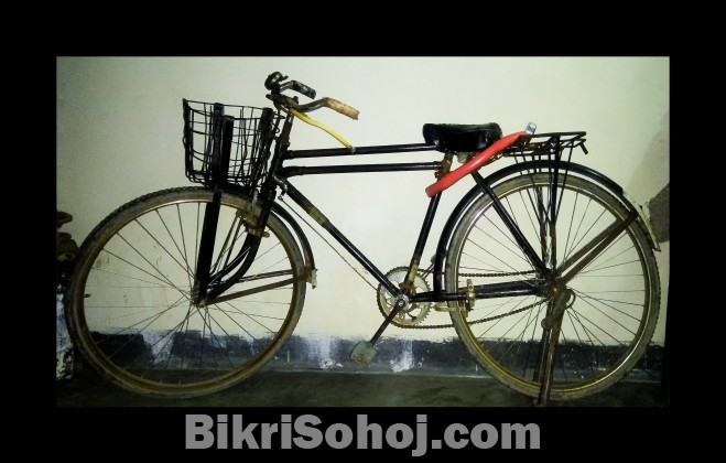 Old Original Phoenix Bicycle
