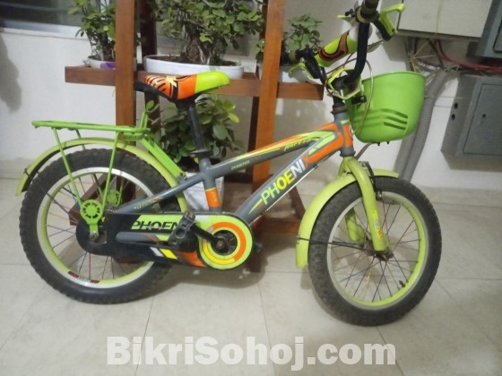 Phonix bicycle for kids