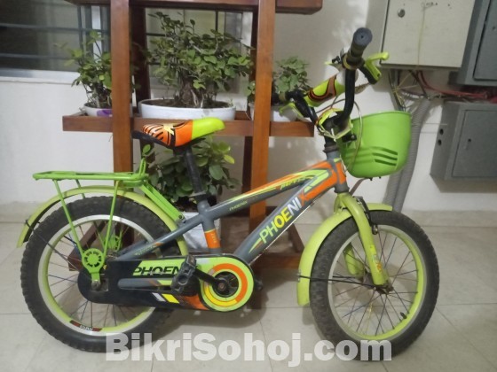 Phonix bicycle for kids