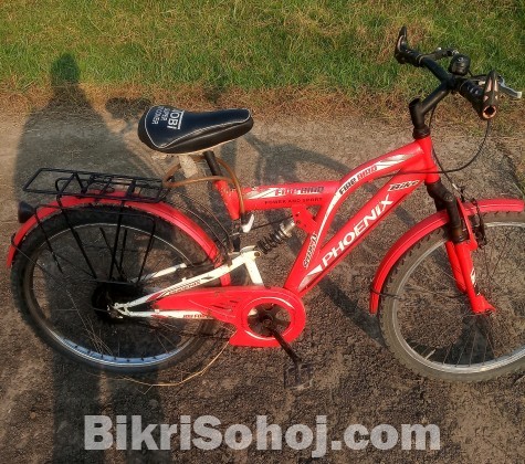 Phonix bycycle