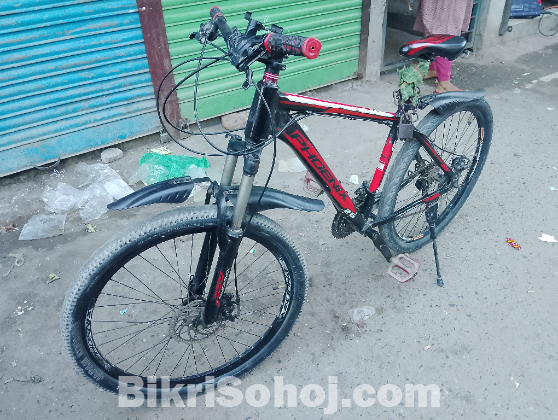 Phoenix Cycle