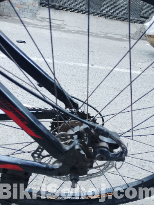 Phoenix Cycle