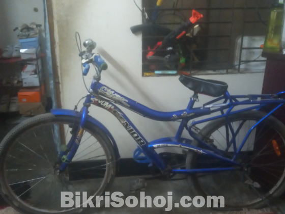 সিনিয়র সাইকেল