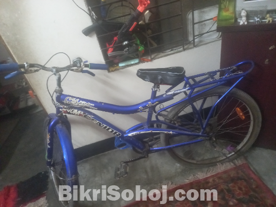 সিনিয়র সাইকেল