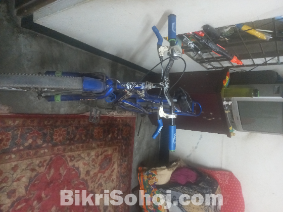 সিনিয়র সাইকেল