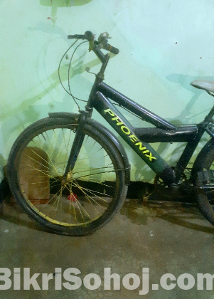 ফনিক সাইকেল বিক্রি