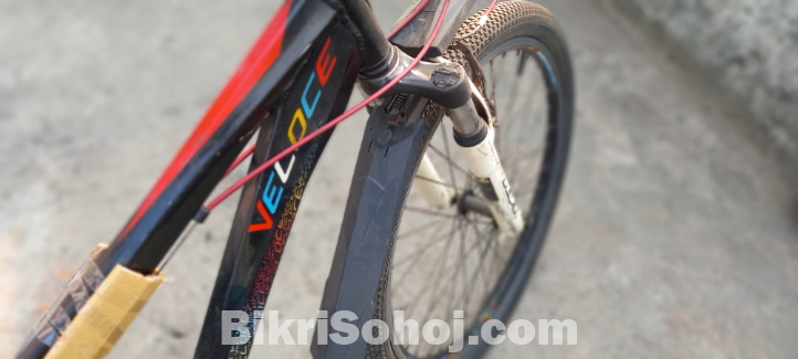 Veloce cicale