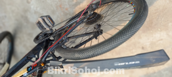Veloce cicale