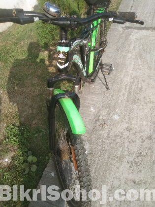 দূরন্ত বাইসাইকেল