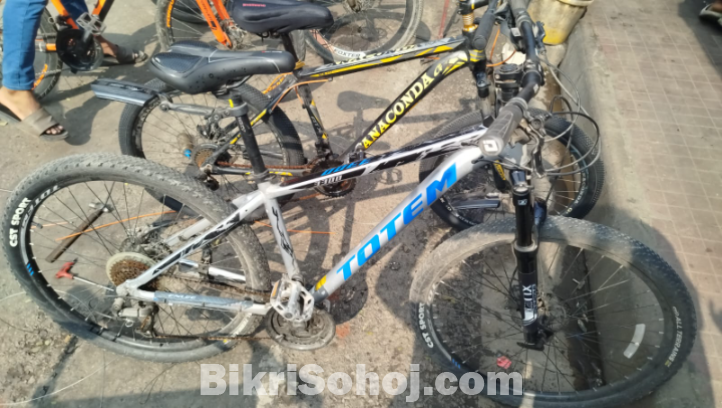 Totem 3300(Customised)