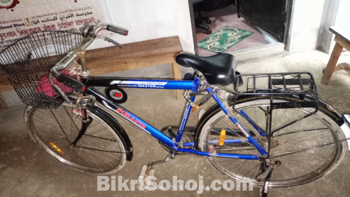 দূড়ন্ত মাস্টার (সাইকেল)