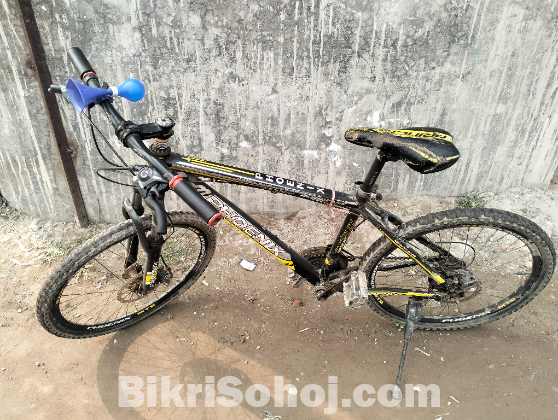 Phoenix Alu-MTB Bicycle