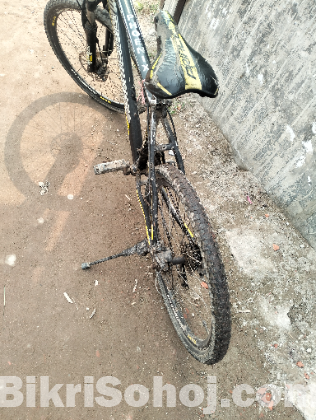 Phoenix Alu-MTB Bicycle