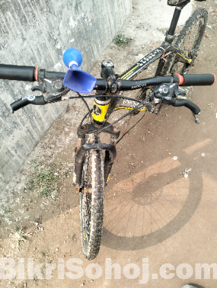 Phoenix Alu-MTB Bicycle
