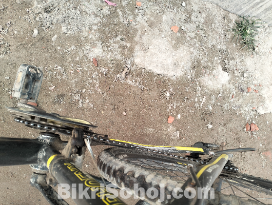 Phoenix Alu-MTB Bicycle