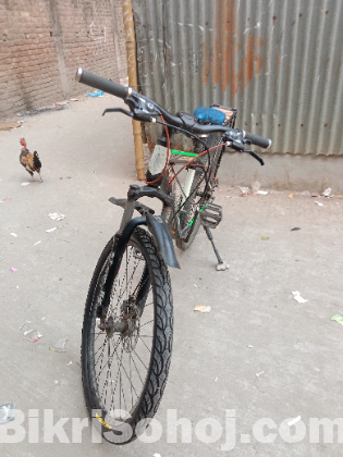 Limit Bicycle