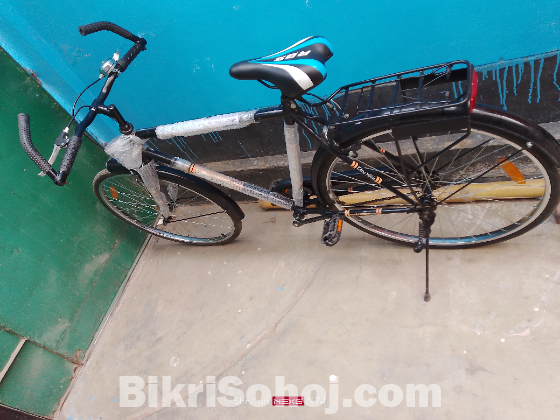 দুরন্ত বাইসাইকেল