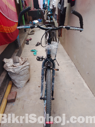 দুরন্ত বাইসাইকেল