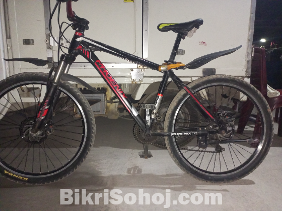 Phonix gear bicycle