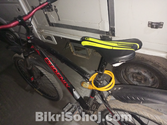 Phonix gear bicycle