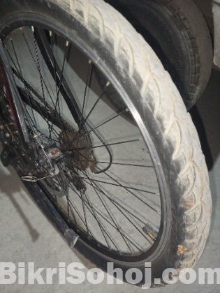 Phonix gear bicycle
