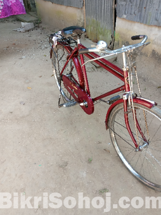 দুরন্ত বাইসাইকেল