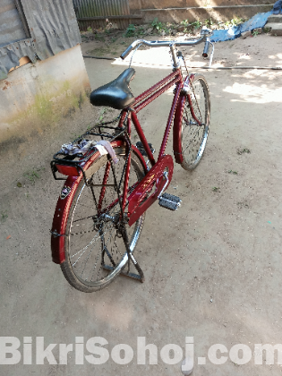 দুরন্ত বাইসাইকেল