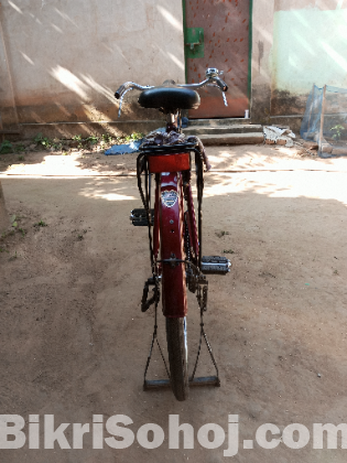 দুরন্ত বাইসাইকেল