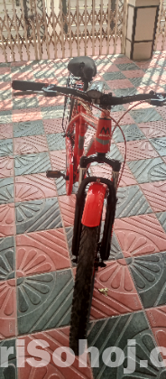 Marine Bicycle